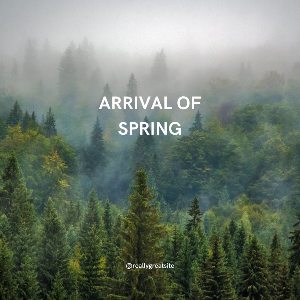 ARRIVAL OF SPRING