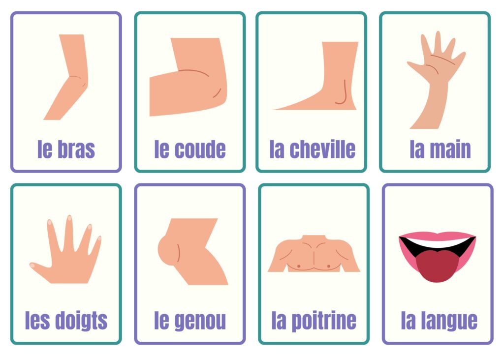 french body parts