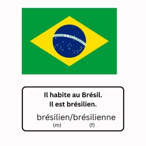 brésil drapeau
