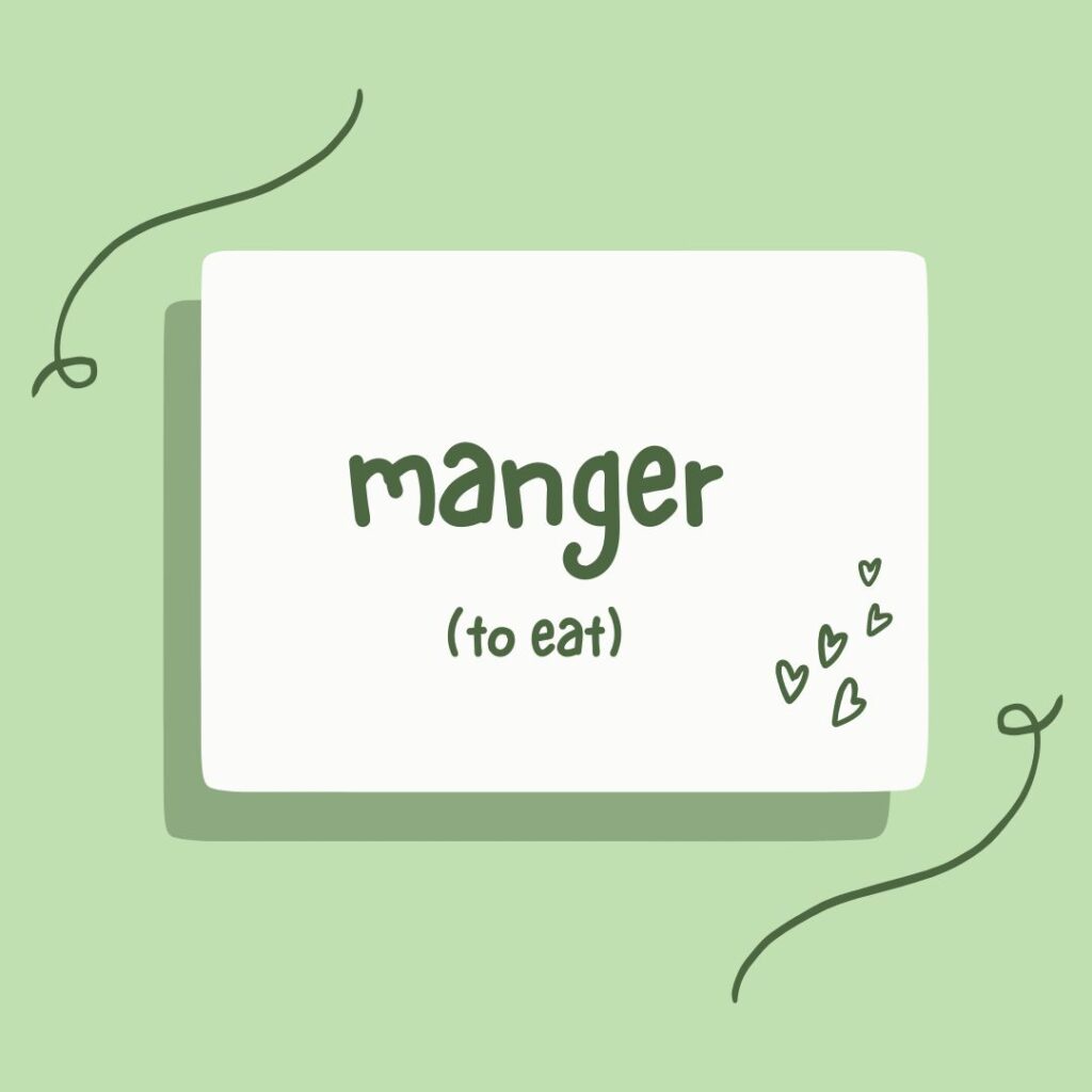 french verb regular-er manger means to eat.